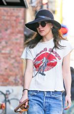 DAKOTA JOHNSON in Ripped Jeans Walks Her Dog in New York