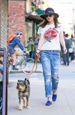 DAKOTA JOHNSON in Ripped Jeans Walks Her Dog in New York