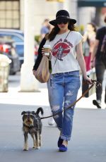 DAKOTA JOHNSON in Ripped Jeans Walks Her Dog in New York