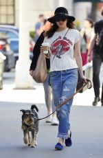 DAKOTA JOHNSON in Ripped Jeans Walks Her Dog in New York