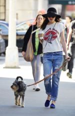 DAKOTA JOHNSON in Ripped Jeans Walks Her Dog in New York