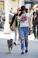 DAKOTA JOHNSON in Ripped Jeans Walks Her Dog in New York