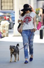 DAKOTA JOHNSON in Ripped Jeans Walks Her Dog in New York