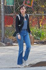 DAKOTA JOHNSON on the Set of How to be Single in New York 04/21/2015
