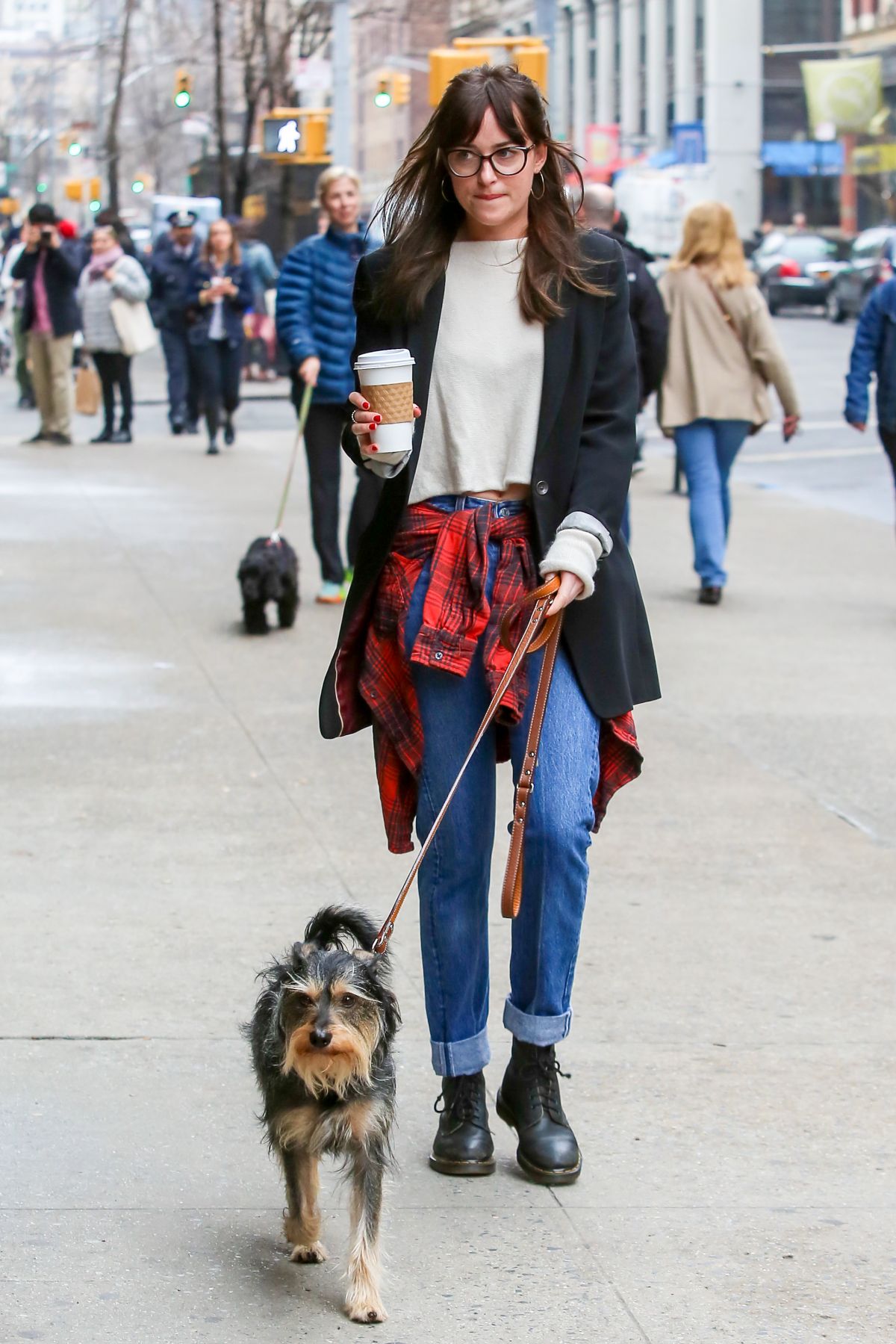 DAKOTA JOHNSON Out and About in New York with Her Dog DAKOTA JOHNSON Out and About in New York with Her Dog