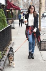 DAKOTA JOHNSON Out and About in New York with Her Dog