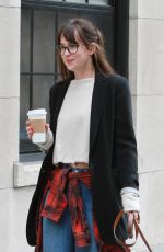 DAKOTA JOHNSON Out and About in New York with Her Dog