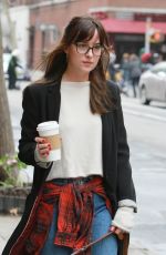 DAKOTA JOHNSON Out and About in New York with Her Dog