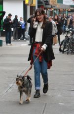 DAKOTA JOHNSON Out and About in New York with Her Dog