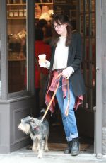 DAKOTA JOHNSON Out and About in New York with Her Dog