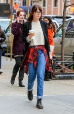 DAKOTA JOHNSON Out and About in New York with Her Dog