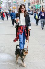 DAKOTA JOHNSON Out and About in New York with Her Dog