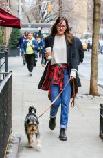 DAKOTA JOHNSON Out and About in New York with Her Dog