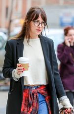 DAKOTA JOHNSON Out and About in New York with Her Dog