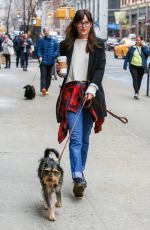 DAKOTA JOHNSON Out and About in New York with Her Dog