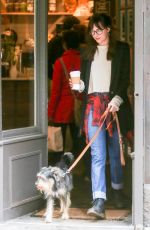 DAKOTA JOHNSON Out and About in New York with Her Dog