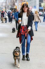DAKOTA JOHNSON Out and About in New York with Her Dog
