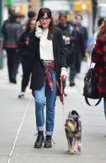 DAKOTA JOHNSON Out and About in New York with Her Dog