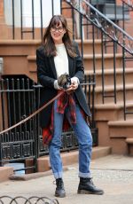 DAKOTA JOHNSON Out and About in New York with Her Dog