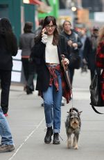 DAKOTA JOHNSON Out and About in New York with Her Dog
