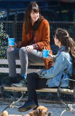 DAKOTA JOHNSON Out with Her Dog at a Park in New York