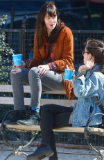 DAKOTA JOHNSON Out with Her Dog at a Park in New York