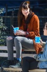 DAKOTA JOHNSON Out with Her Dog at a Park in New York