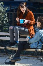 DAKOTA JOHNSON Out with Her Dog at a Park in New York