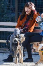 DAKOTA JOHNSON Out with Her Dog at a Park in New York