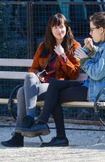 DAKOTA JOHNSON Out with Her Dog at a Park in New York