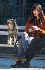 DAKOTA JOHNSON Out with Her Dog at a Park in New York