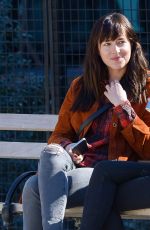 DAKOTA JOHNSON Out with Her Dog at a Park in New York