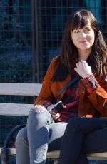 DAKOTA JOHNSON Out with Her Dog at a Park in New York