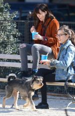 DAKOTA JOHNSON Out with Her Dog at a Park in New York