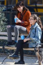 DAKOTA JOHNSON Out with Her Dog at a Park in New York