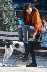 DAKOTA JOHNSON Out with Her Dog at a Park in New York