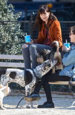DAKOTA JOHNSON Out with Her Dog at a Park in New York