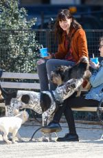 DAKOTA JOHNSON Out with Her Dog at a Park in New York