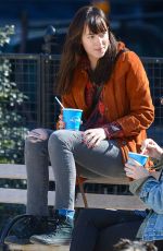 DAKOTA JOHNSON Out with Her Dog at a Park in New York