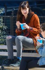 DAKOTA JOHNSON Out with Her Dog at a Park in New York