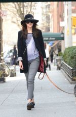 DAKOTA JOHNSON Out with Her Dog in New York