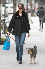 DAKOTA JOHNSON Walks Her Dog Out in Bew York