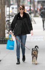 DAKOTA JOHNSON Walks Her Dog Out in Bew York