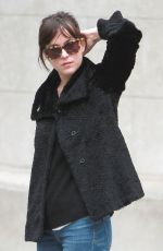DAKOTA JOHNSON Walks Her Dog Out in Bew York