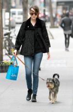 DAKOTA JOHNSON Walks Her Dog Out in Bew York