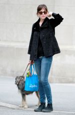 DAKOTA JOHNSON Walks Her Dog Out in Bew York