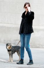 DAKOTA JOHNSON Walks Her Dog Out in Bew York