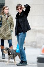 DAKOTA JOHNSON Walks Her Dog Out in Bew York