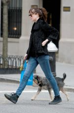 DAKOTA JOHNSON Walks Her Dog Out in Bew York