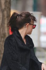 DAKOTA JOHNSON Walks Her Dog Out in Bew York